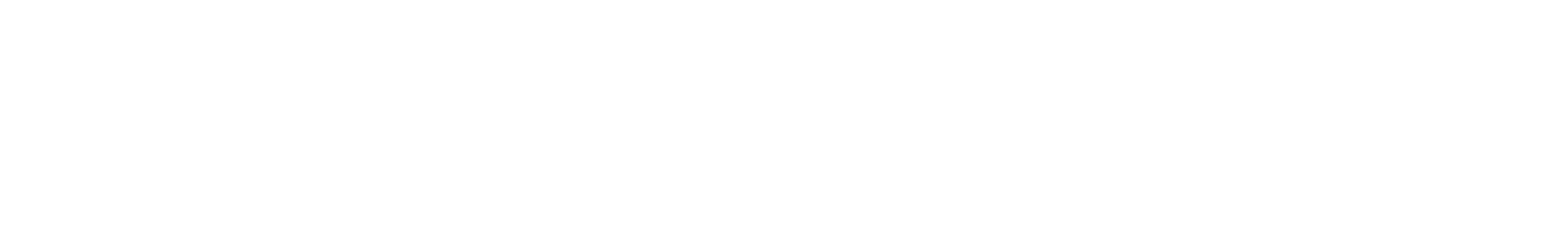 BoderPay Logo